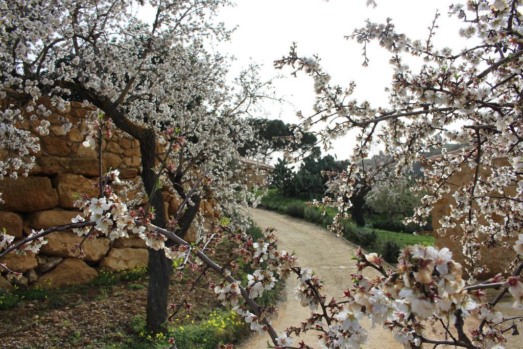 Agriturismo Feudo Muxarello Aragona Kültér fotó